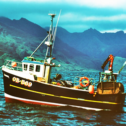 Skills-seafood-processing