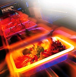 Skills-ready meal- process- development